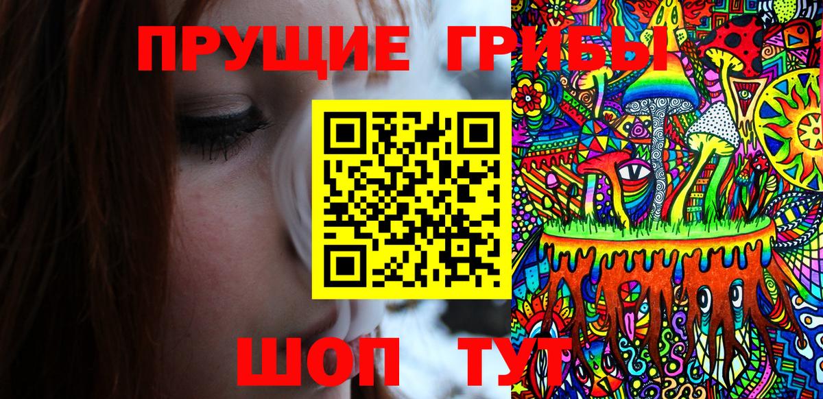 Псилоцибиновые грибы мицелий Сунжа
