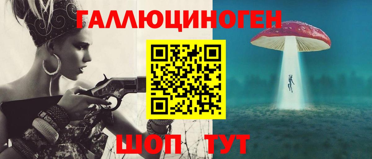Галлюциногенные грибы Psilocybine cubensis  Псилоцибиновые грибы Psilocybine cubensis  Вход с VPN  Сунжа 